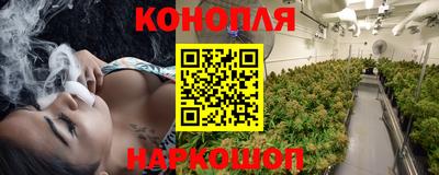 бошки Дмитров