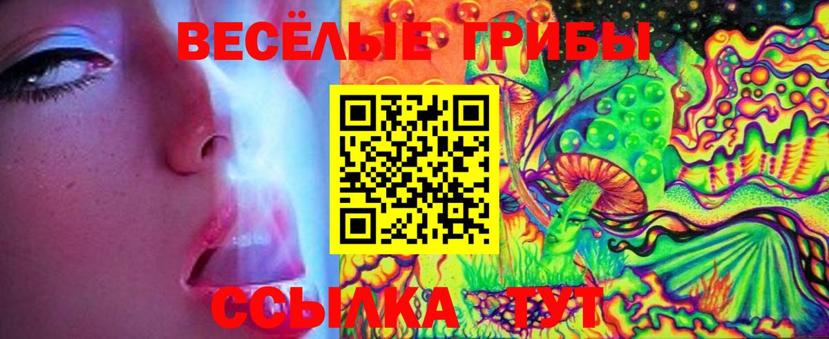 Галлюциногенные грибы Cubensis Учалы